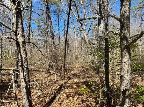 000 Divide Trl, Monterey, TN 38574