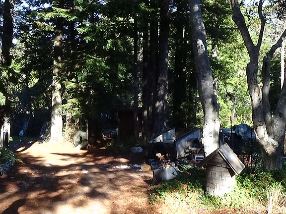 3rd image of 15184 Mitchell Creek Dr