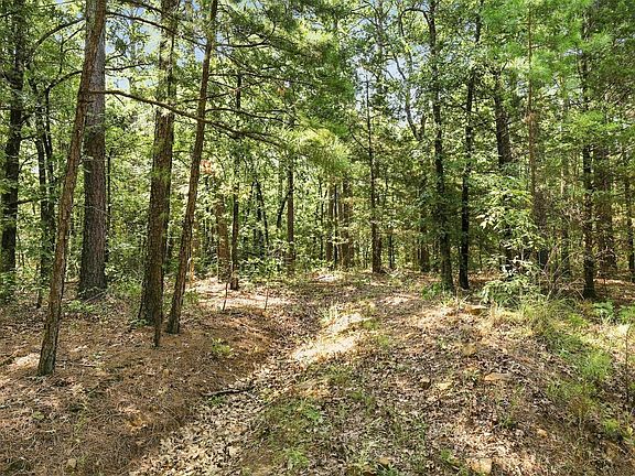 3rd image of 45 Buck Creek Trl