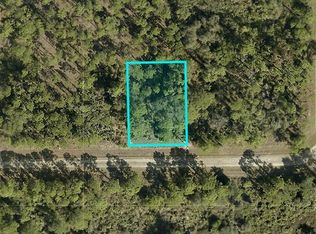 1219 Raphia St E, Lehigh Acres, FL 33974