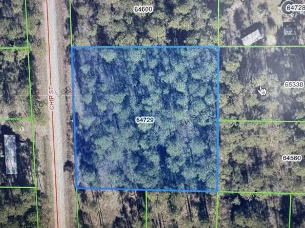 10 & 11 Chip St, Abita Springs, LA 70420