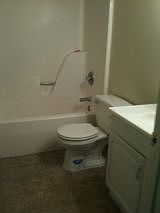 2nd image of 4011 Pine Dr APT C