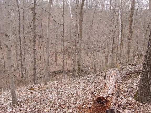 4th image of S County Road 1000 W