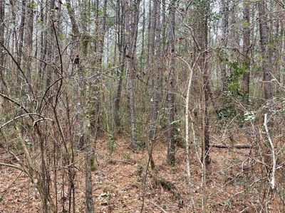 Bruhl Rd, Folsom, LA, 70437