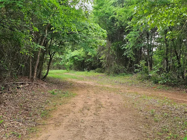 Vz County Road 4814, Ben Wheeler, TX 75754