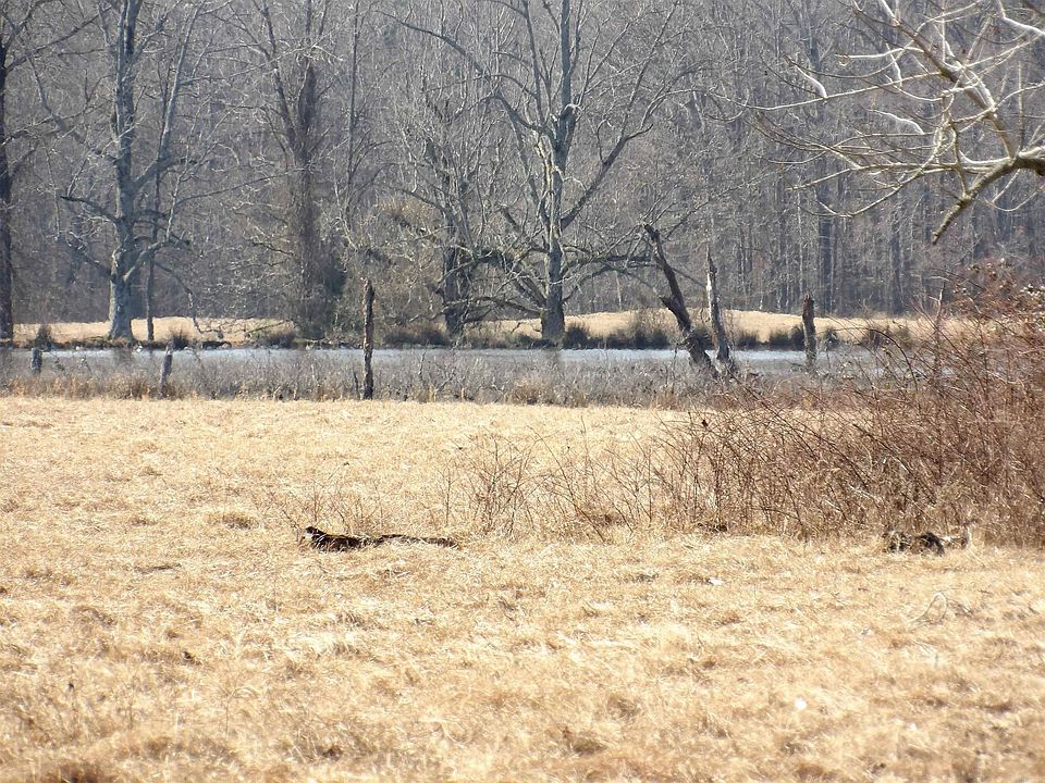 1st image of 0 S 425th Hwy