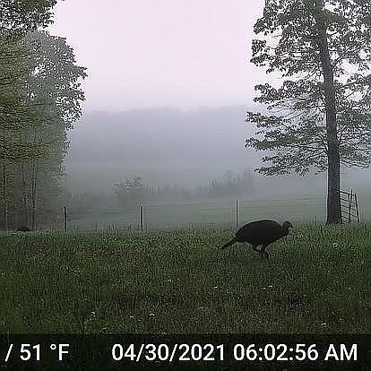 1st image of 3258 Summertown Hwy