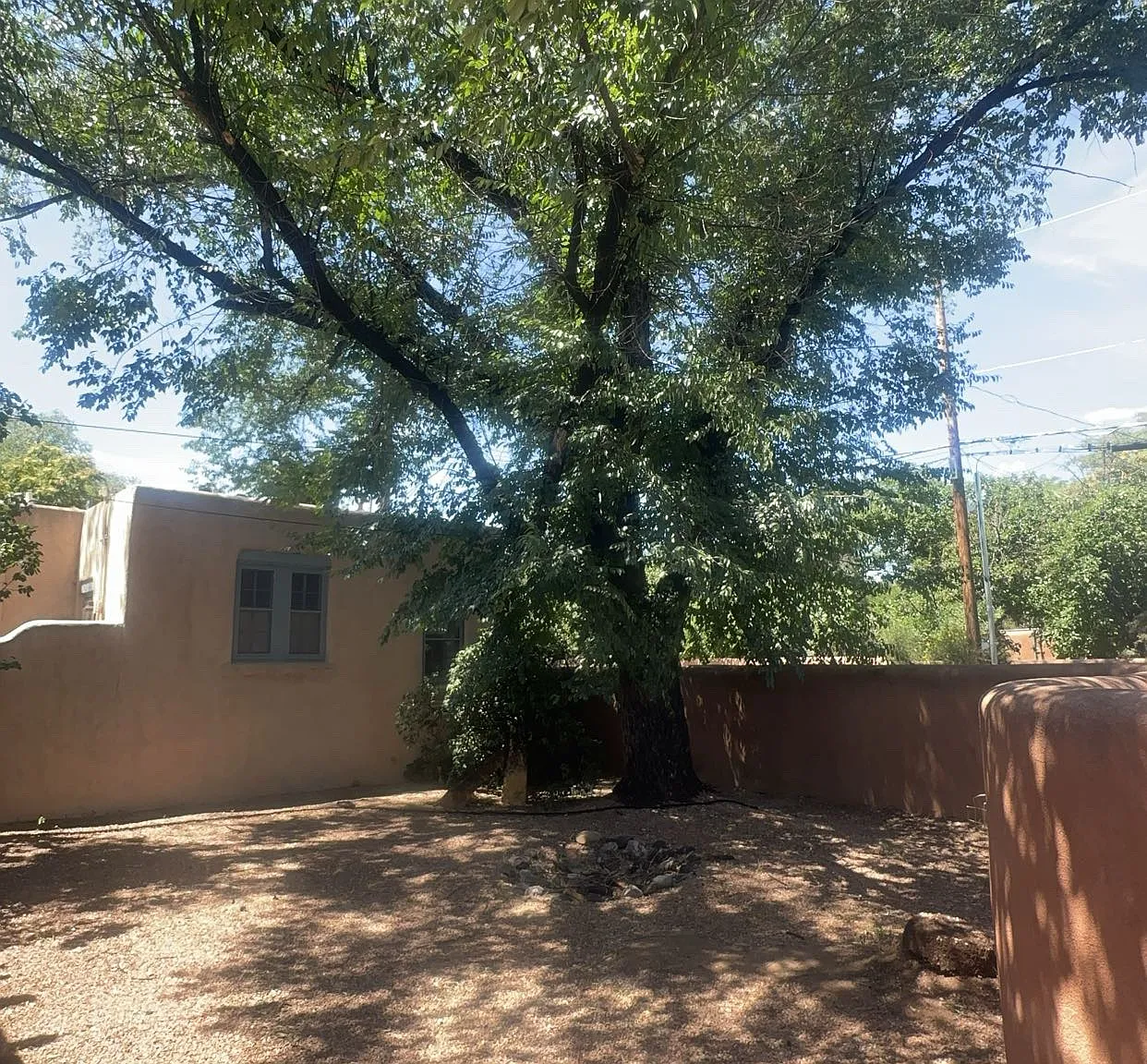 335 Delgado St — Photo 4