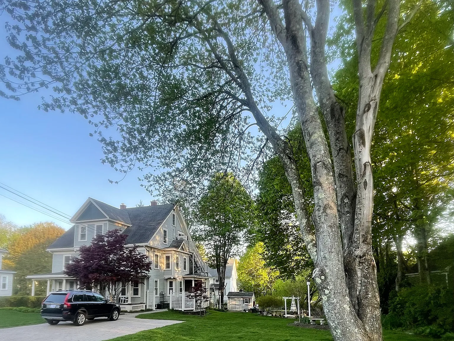 1 bed, 825 sqft, $3,000 — Photo 2