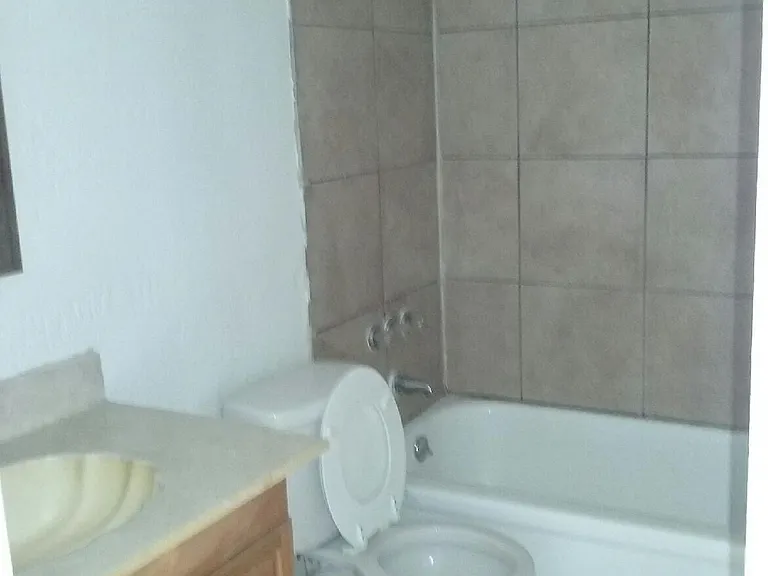 Bathroom_06272016