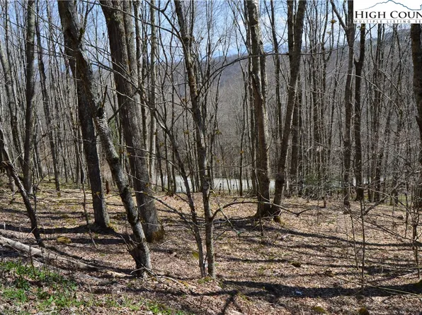 130 E Blueberry Lane, Beech Mountain, NC 28604