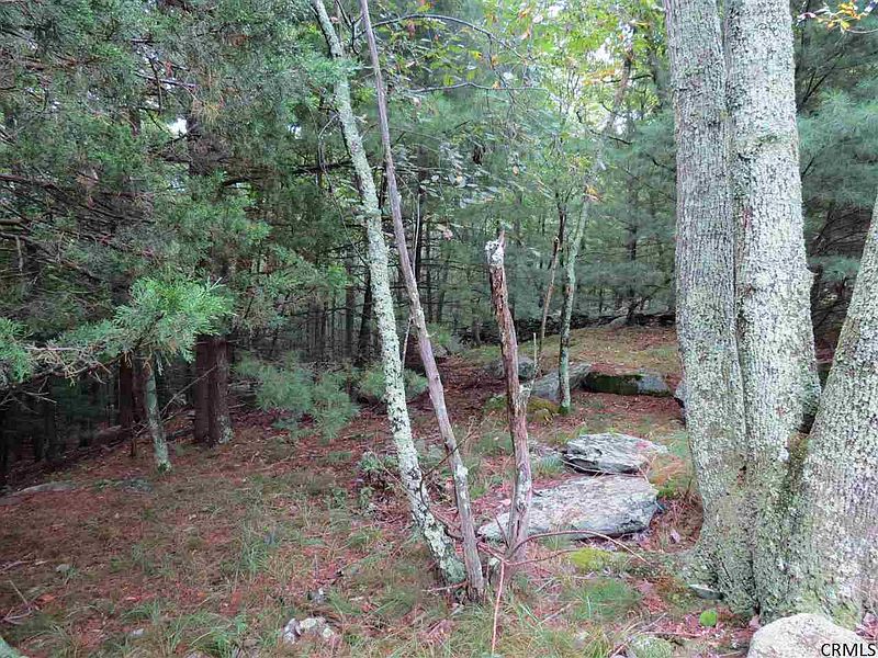 2nd image of 73 Grassy Ridge Road
