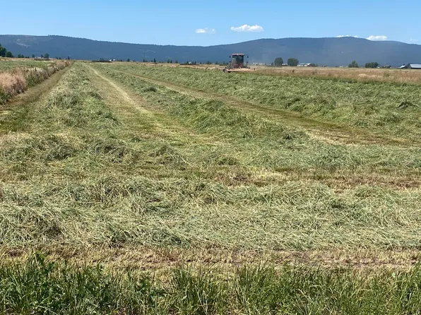 553-185 Punkin Center Rd, Bieber, CA 96009