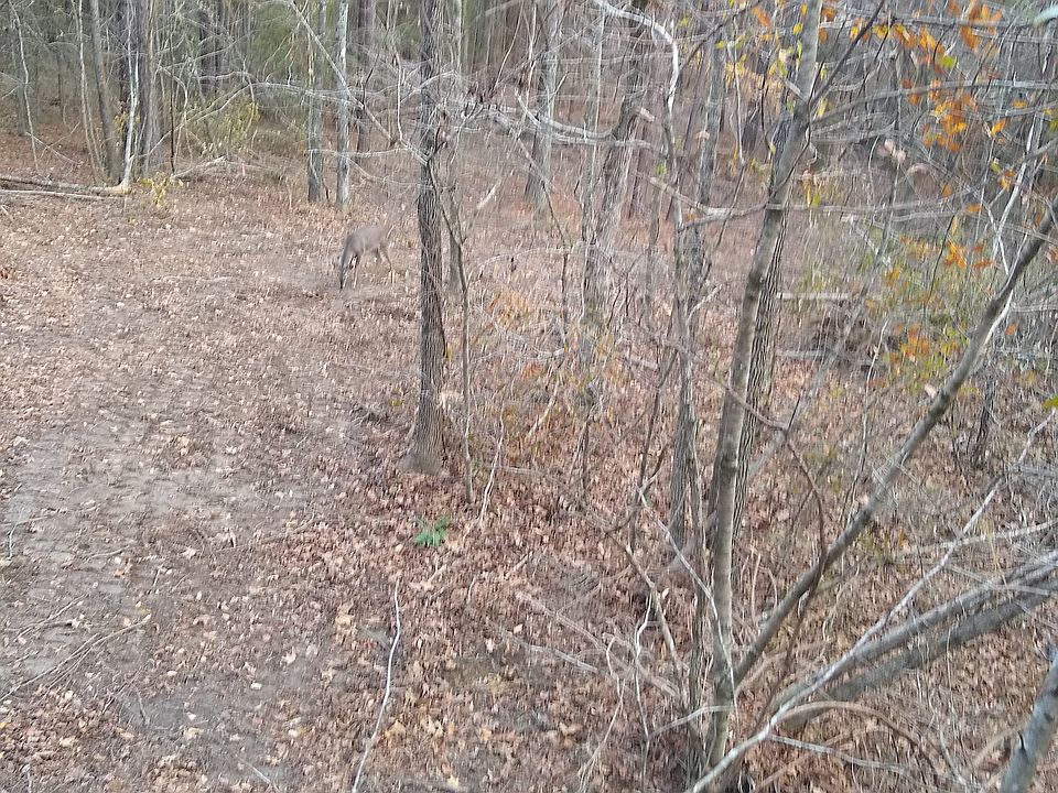 1st image of 5 Acres McKessie St