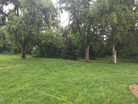 Tree line-north side