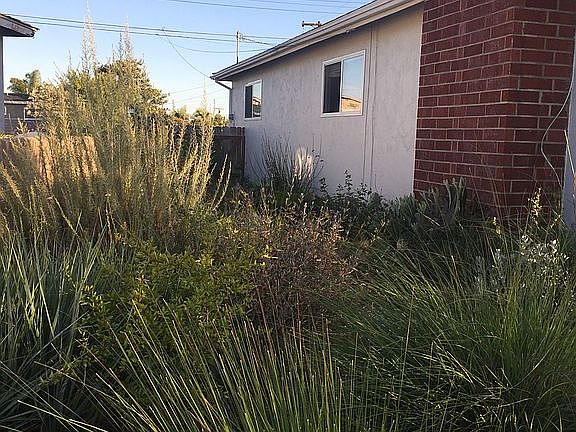 Certified California Native 