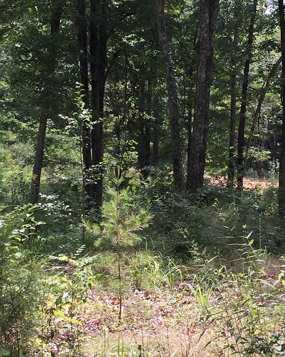 2nd image of 4521 W Hassler Rd