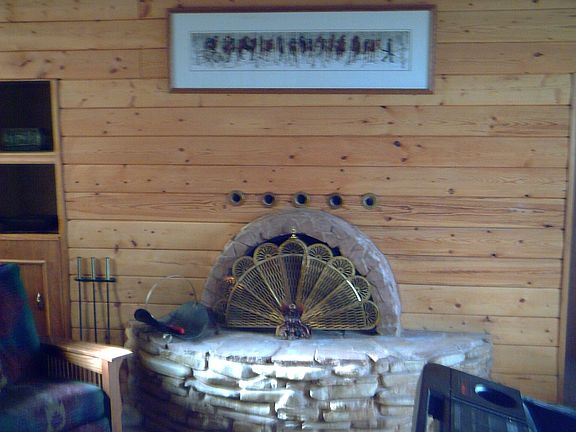 Den fireplace
