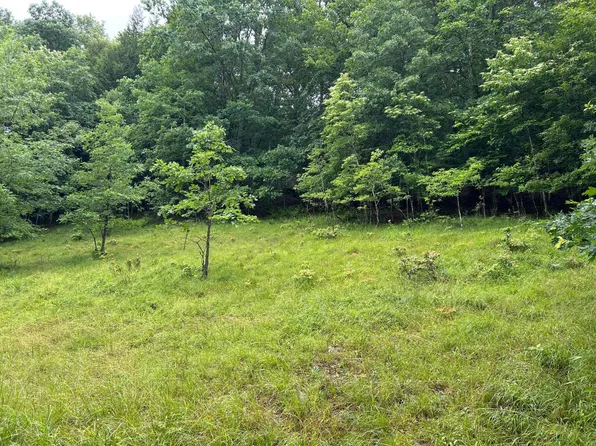 0 Alton Rd, French Creek, WV 26218