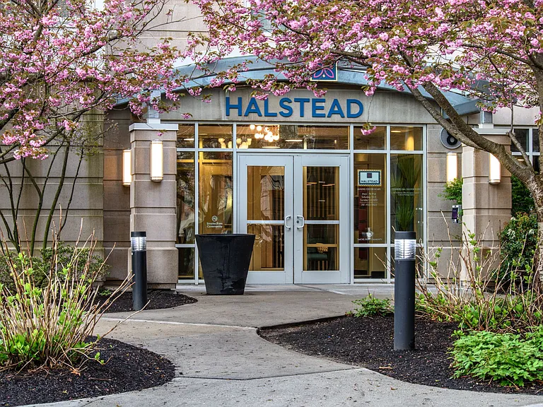 Halstead Burlington — Photo 27