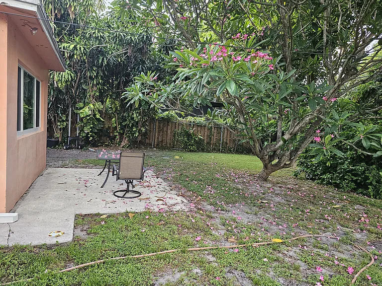 Backyard view