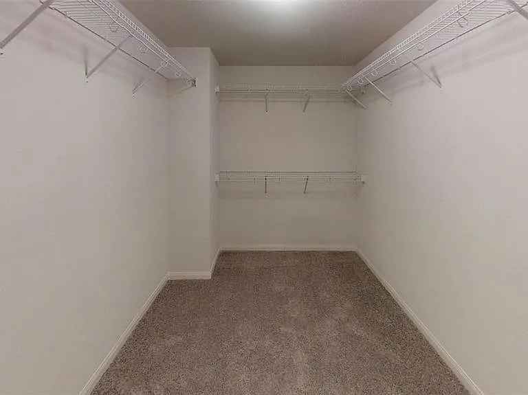 208 Autumn Berry Ln — Photo 20
