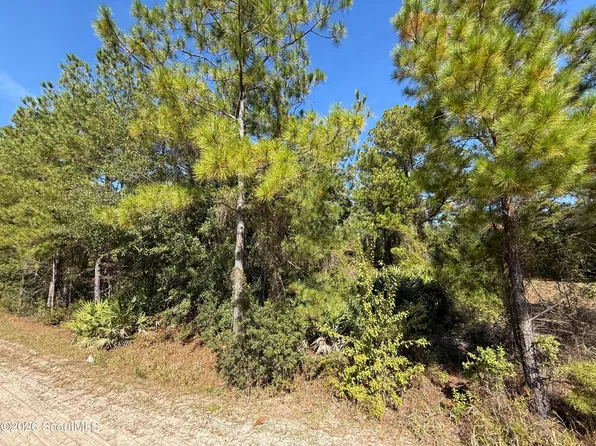 64 Hightower Rd, Nahunta, GA 31553