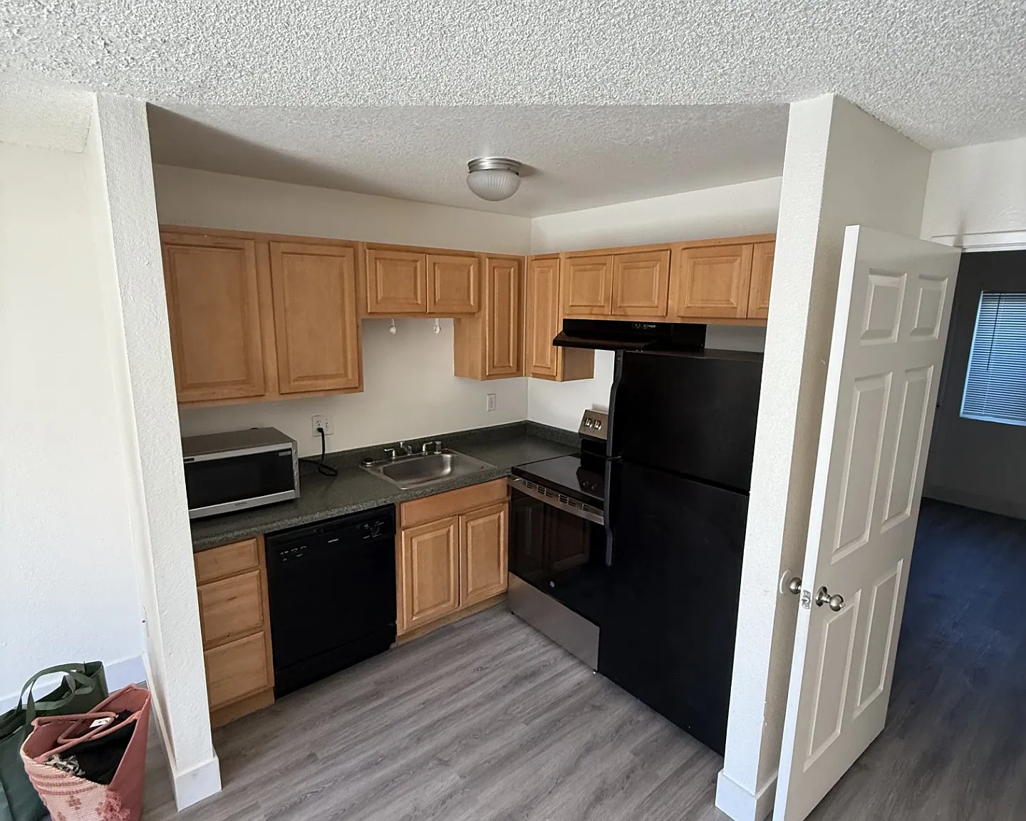 1 bed, 480 sqft, $1,050 — Photo 3
