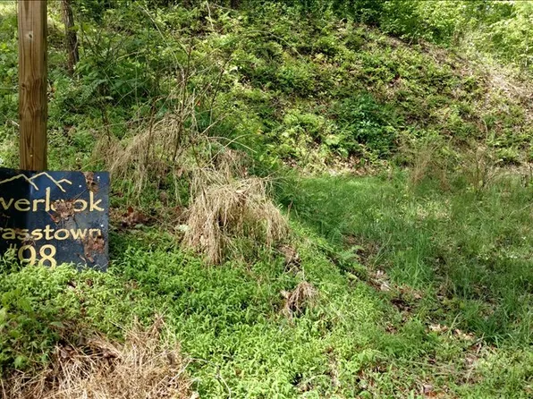 LOT 98 Brasstown Vw, Brasstown, NC 28902