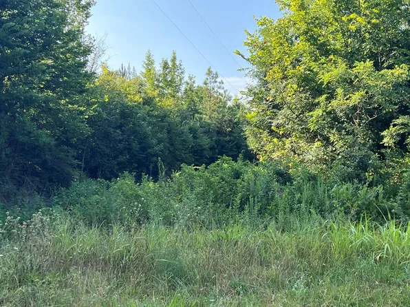 Newbill School Rd, Halifax, VA 24558