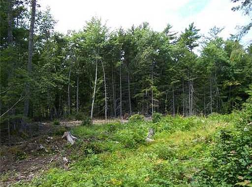 2nd image of Lot 10, Brown's Ferry Road