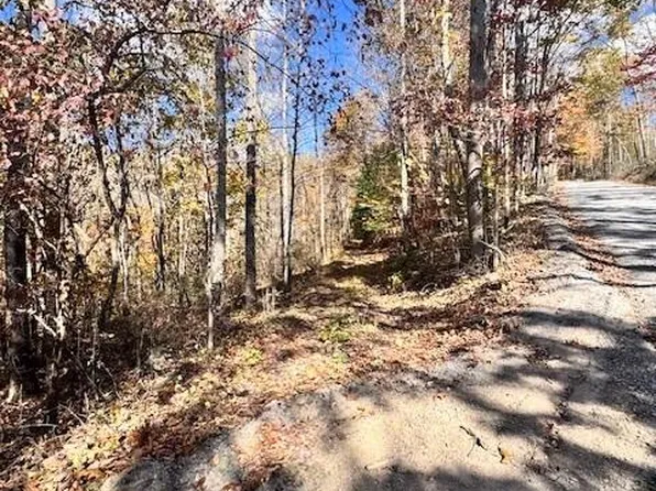 0 Hendrickson Rd, Pembroke, VA 24136