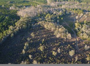 3376 Pine Cone Trl, Mershon, GA 31551