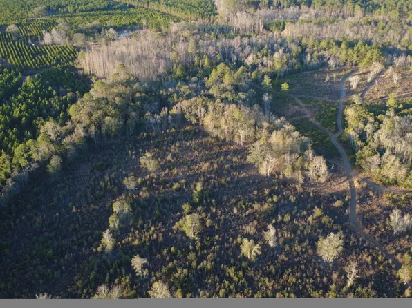 3376 Pine Cone Trl, Mershon, GA 31551