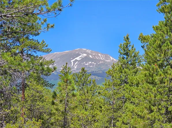 445 Mt Massive Drive LOT 23, 24, 29, 30, 31, Twin Lakes, CO 81251