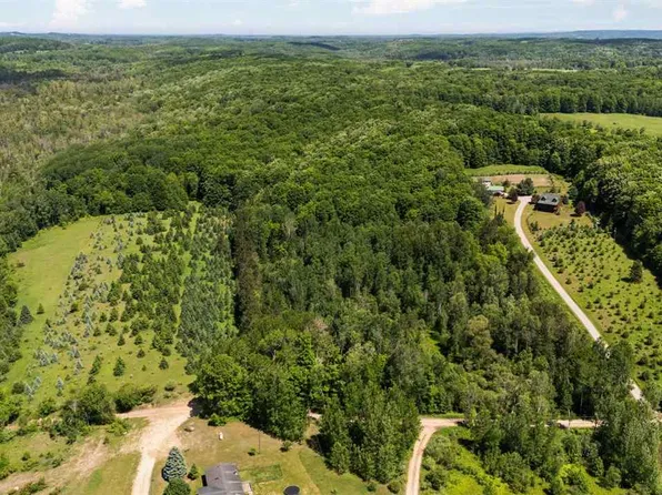 Detour Rd, Ellsworth, MI 49729