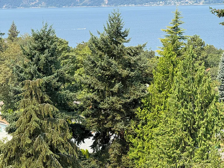 View from private deck