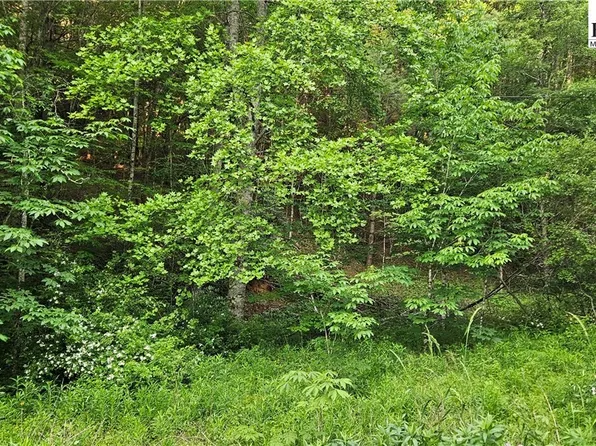 0 Chestnut Dale, Newland, NC 28657