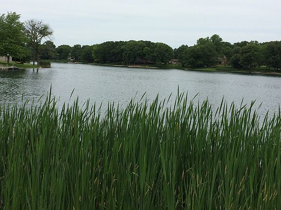 40 + acre lake 