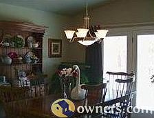 Light pours in over the forested back lot