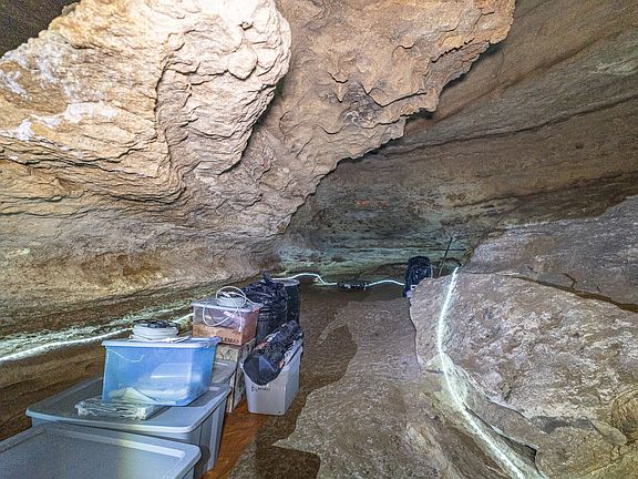 84th image of this home