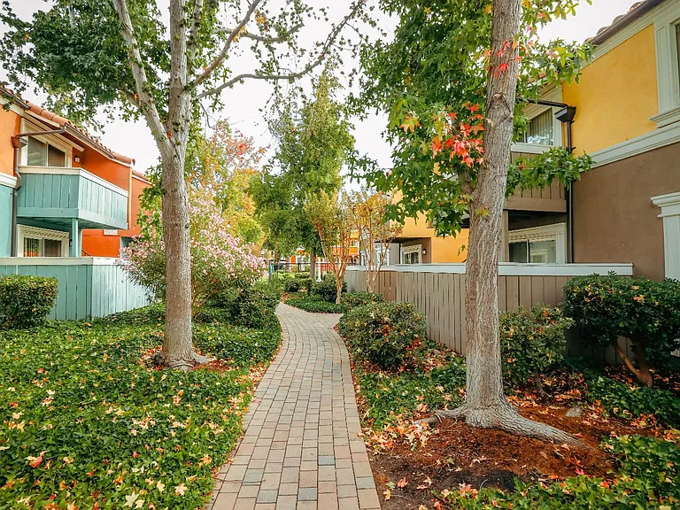 Peppertree Apartments — Photo 38
