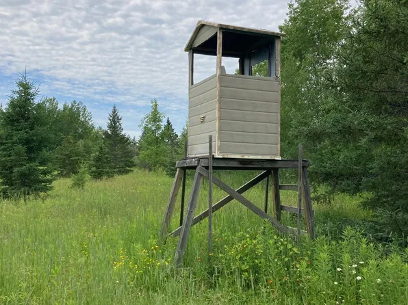 Hautala Rd, Iron River, WI 54847