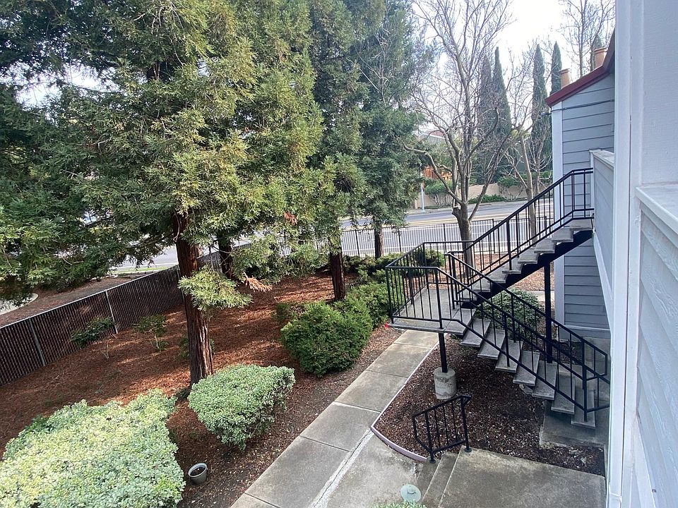 Pretty Nice view with Pine trees in the front of Balcony.