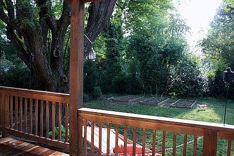 View from Deck