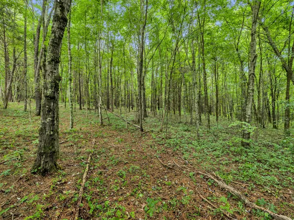 0 Eli Rd Lot 1, Bon Aqua, TN 37025