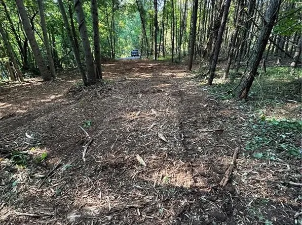 Austin Traphill Rd, Traphill, NC 28685