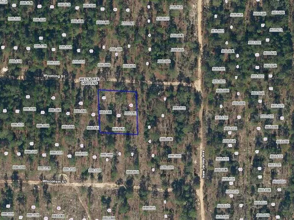 103 Wyoming St Lot 46, Hawthorne, FL 32640