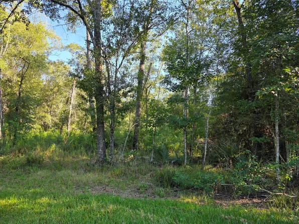 0 Tidwell Rd, Shepherd, TX 77371
