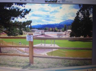 111 N Park St, Woodland Park, CO 80863